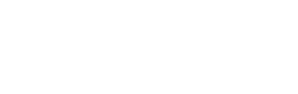 Schubring Global Solutions